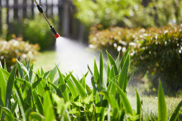 Tamper-Resistant Bait Stations for Rodents in Gates Mills