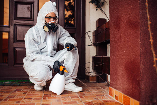 Attic and Crawl Space Rodent Treatment in Gates Mills