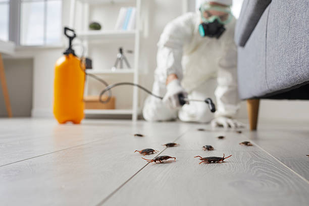 Commercial Rodent Management in Gates Mills